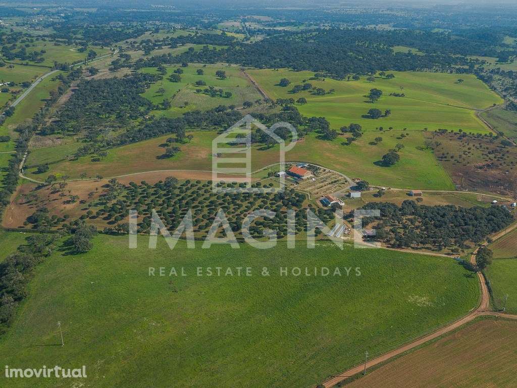 Quinta/Montado com 18ha no Cercal - Ideal para Turismo Rural - Grande imagem: 3/60