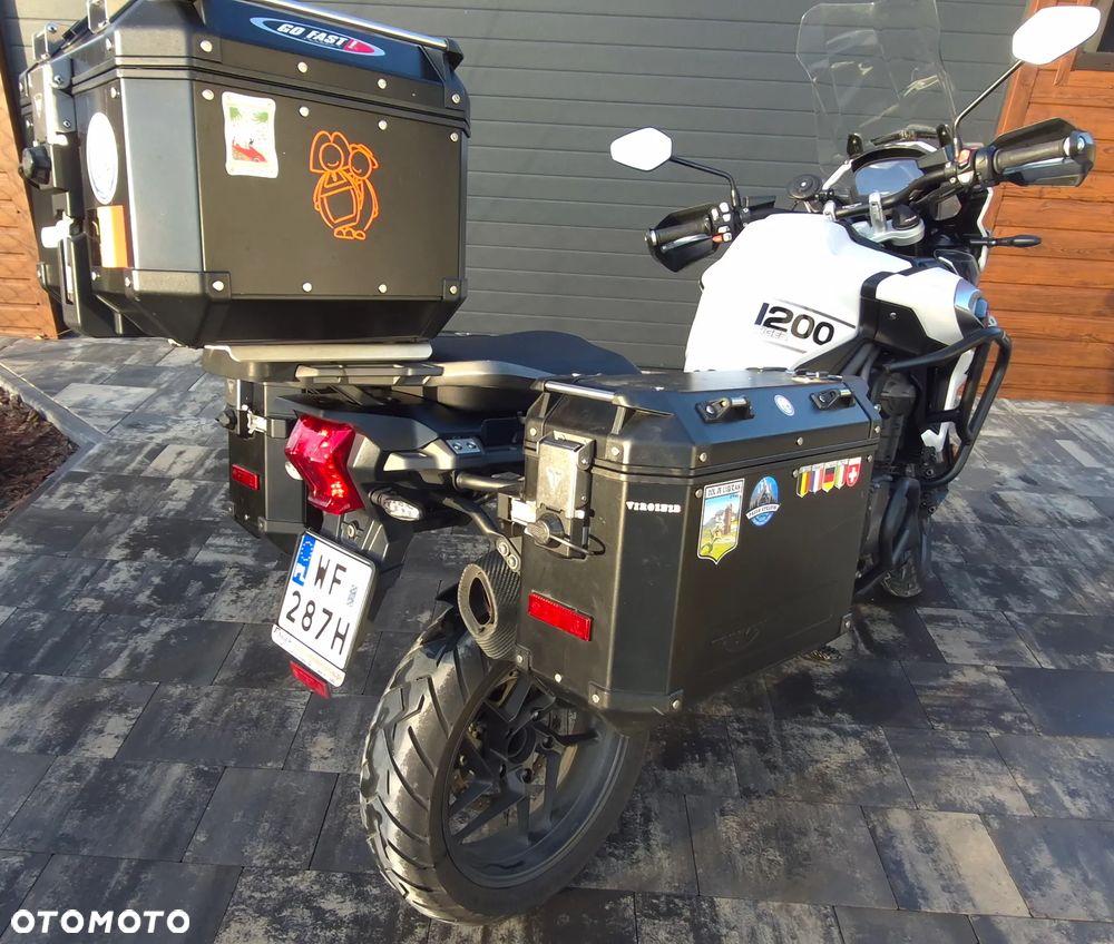 Triumph Tiger - 20