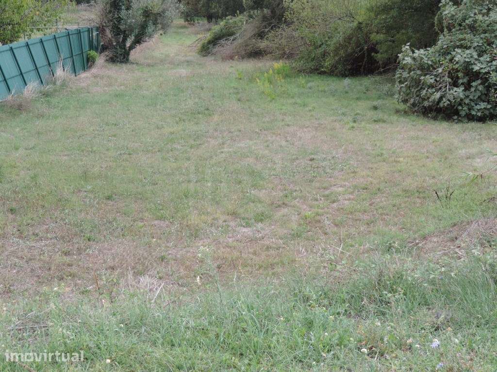 Terreno rústico para agricultura, Fegundeira, Espite - Grande imagem: 4/7