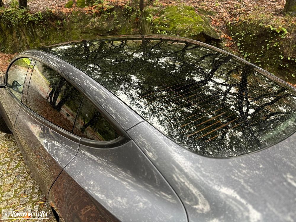 Tesla Model 3 Performance Dual Motor AWD - 16