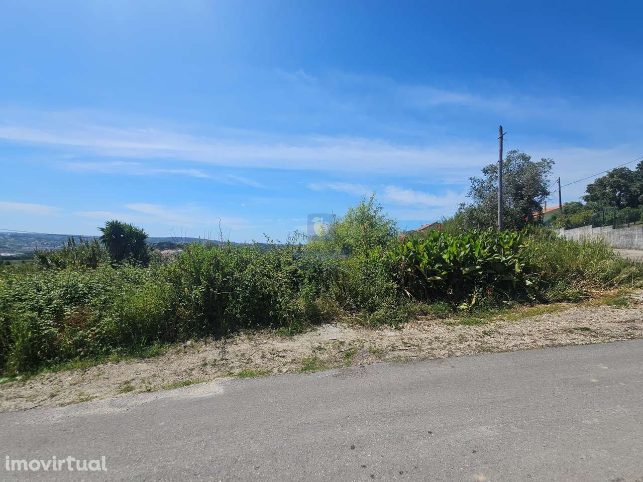 Conjunto de 7 Terrenos entre Alcobaça e Aljubarrota - Grande imagem: 3/10