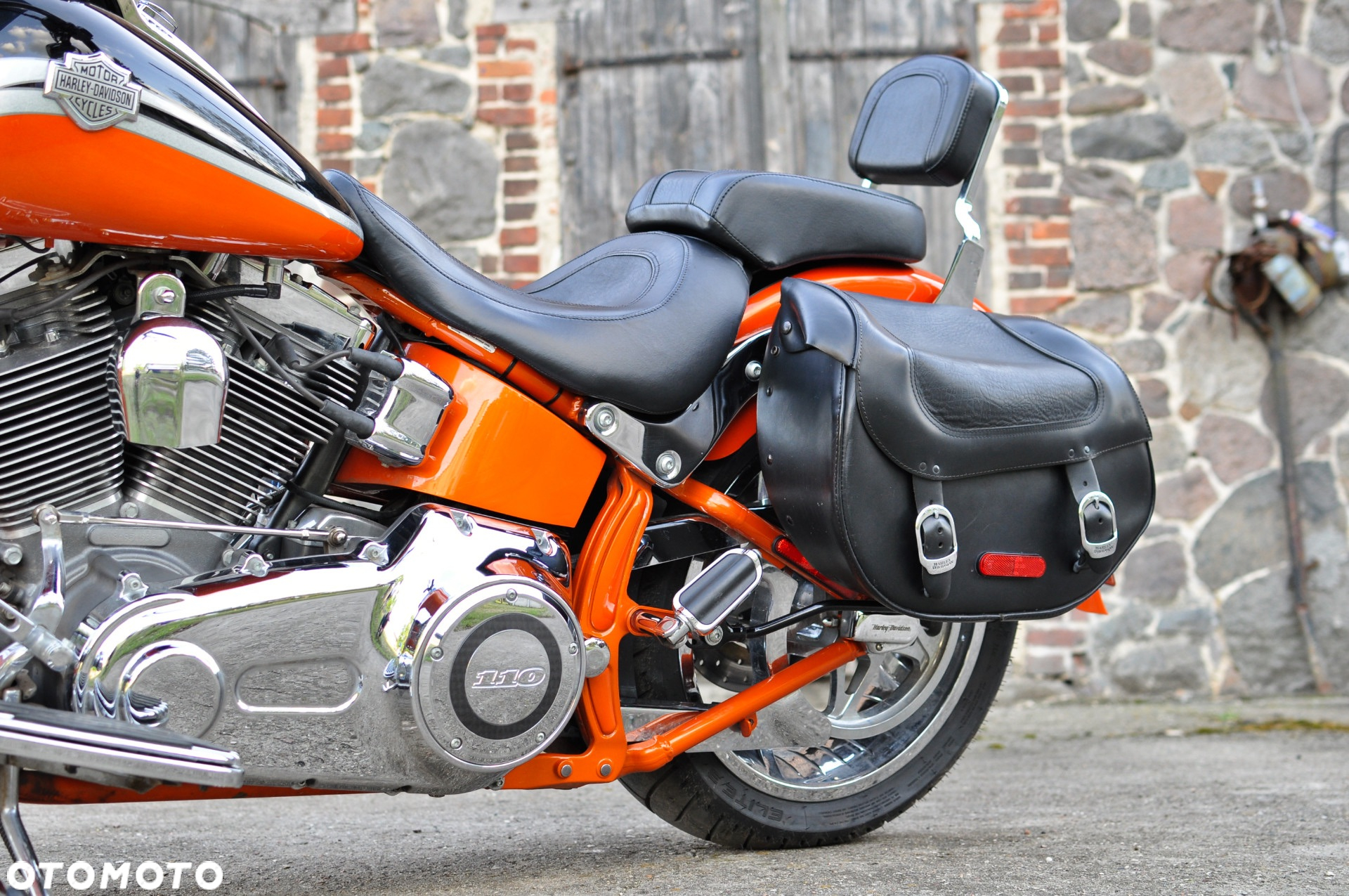 Harley-Davidson Softail - 5