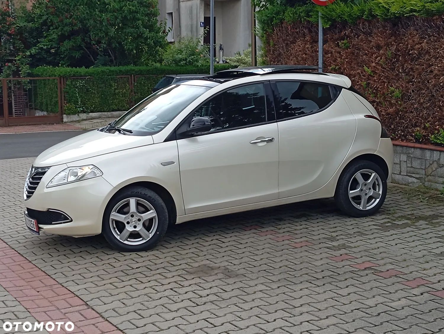 Lancia Ypsilon 1.2 8V Platinum S&S - 1