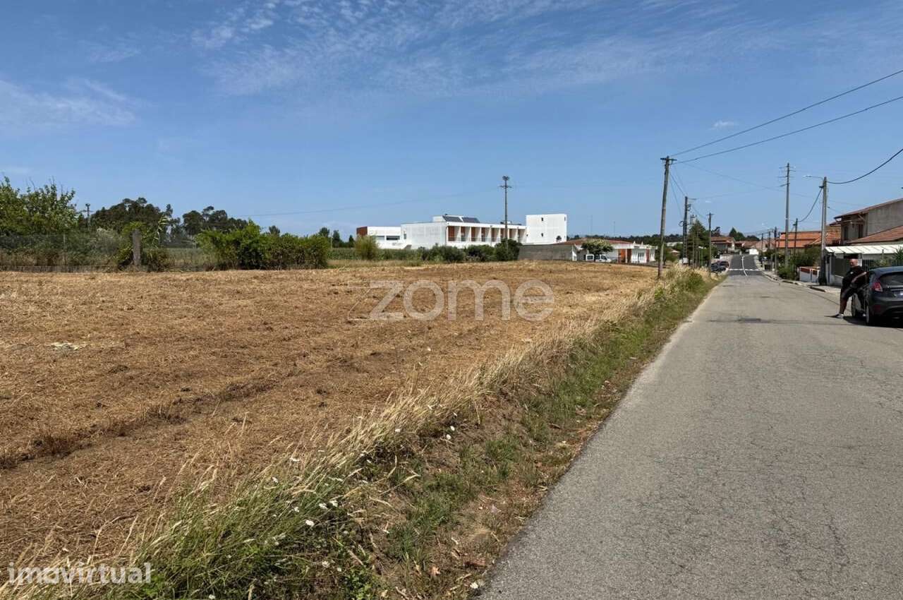 Terreno com 130m de frente | 3280m2 de area | Oliveira do Bairro - Grande imagem: 2/17