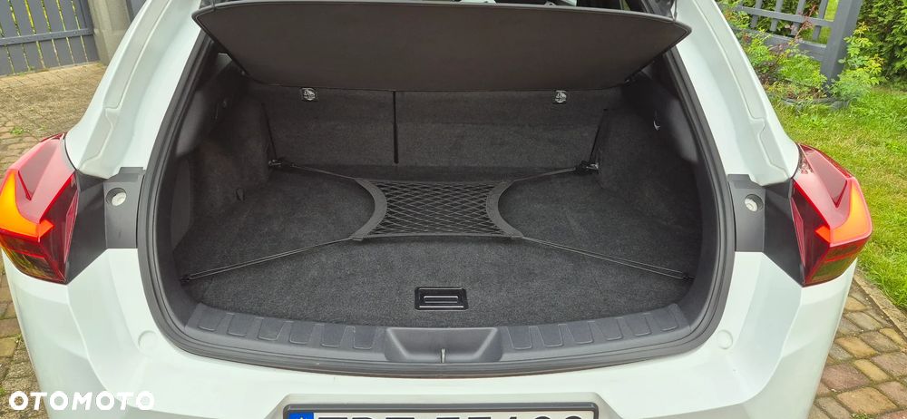 Lexus UX 250h GPF F Sport AWD - 20