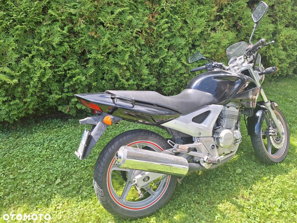 Honda CBF - 5