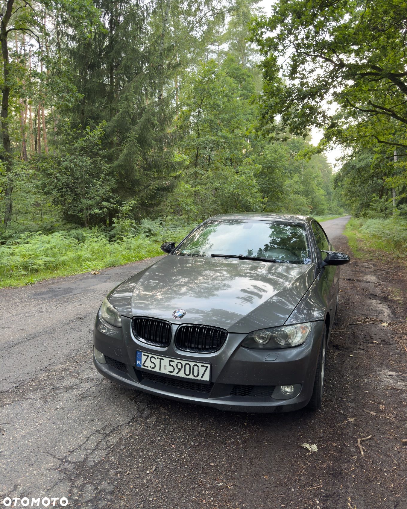 BMW Seria 3 - 1