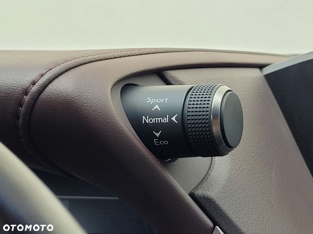 Lexus ES 300h Prestige - 18