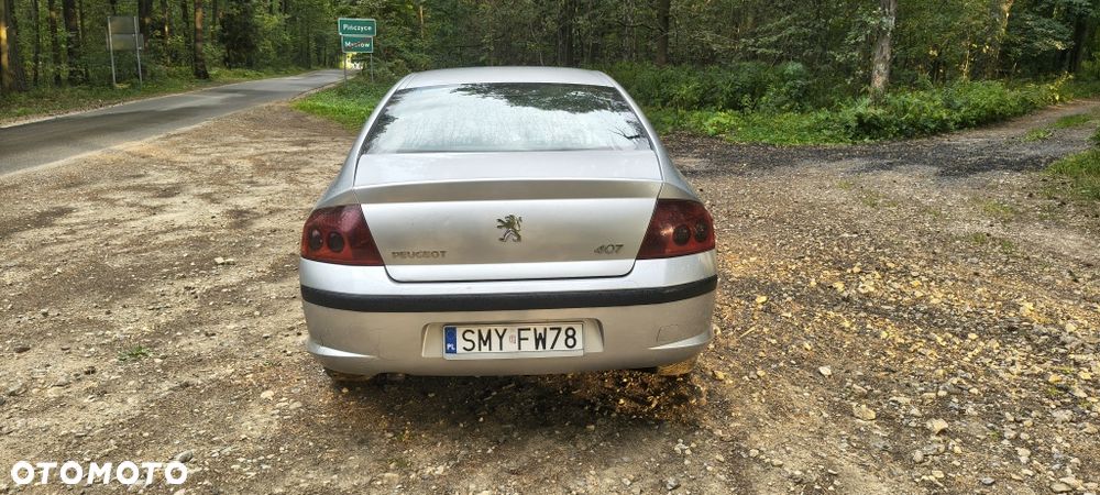 Peugeot 407 - 5