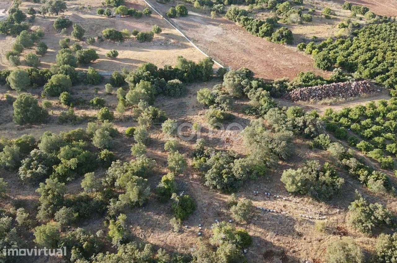 Terreno Rústico em Barrocal das Cortes c/ 16.000m2, Messines - Grande imagem: 2/17