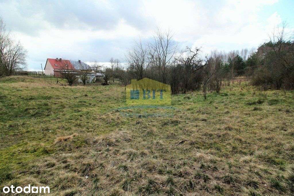 Działka budowlana 1562m2, Golin koło Człopy - Pełny obrazek: 4/13