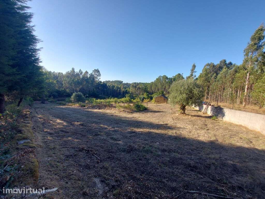 Quinta c/casa agrícola 6975m2 Meda de Mouros - Grande imagem: 5/9
