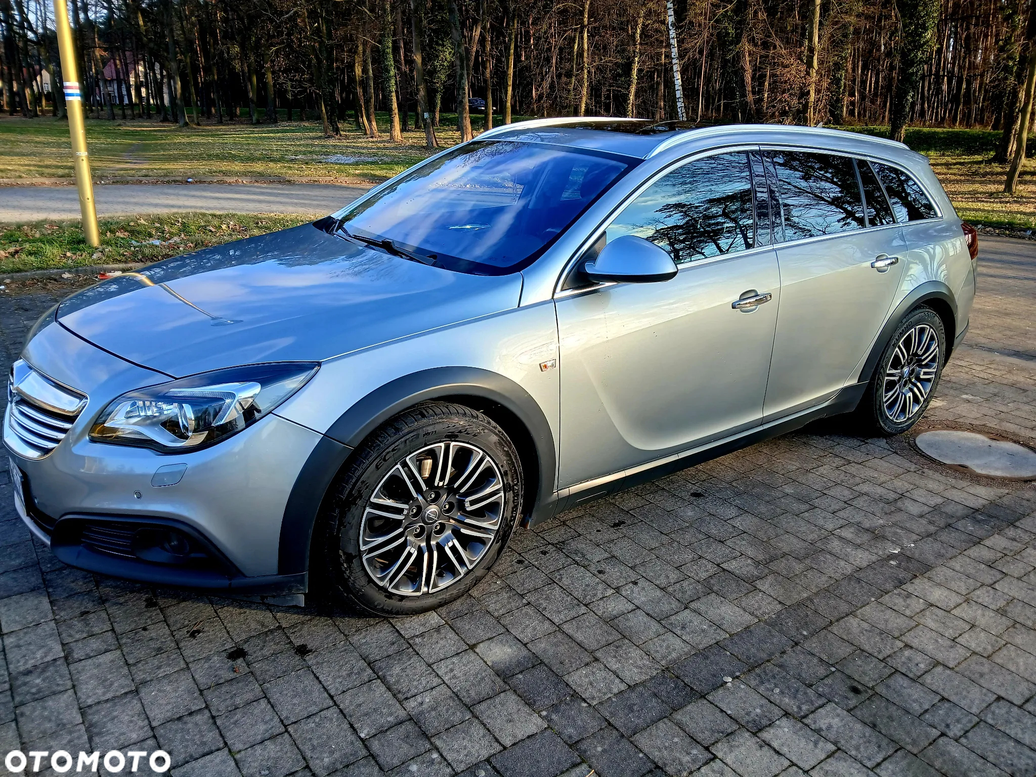 Opel Insignia 2.0 Bi Turbo CDTI 4x4 Country Tourer - 2