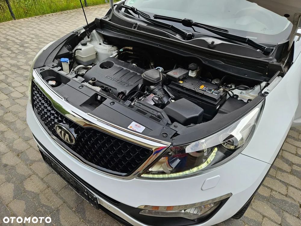 Kia Sportage - 39
