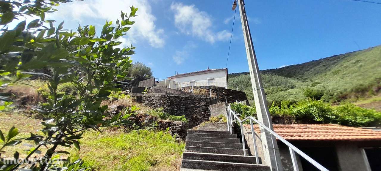 INVESTIMENTO | CEIROQUINHO | SERRA DO AÇOR - Grande imagem: 3/28