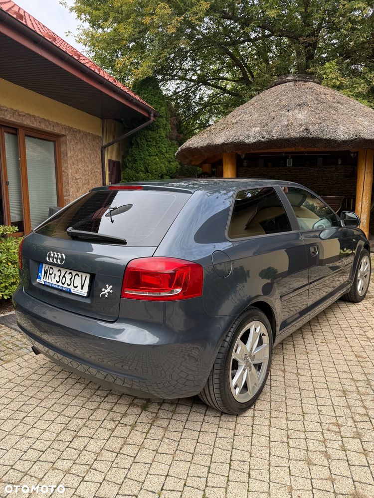 Audi A3 3-drzwiowe 1.6 S Line Sportpaket plus - 3