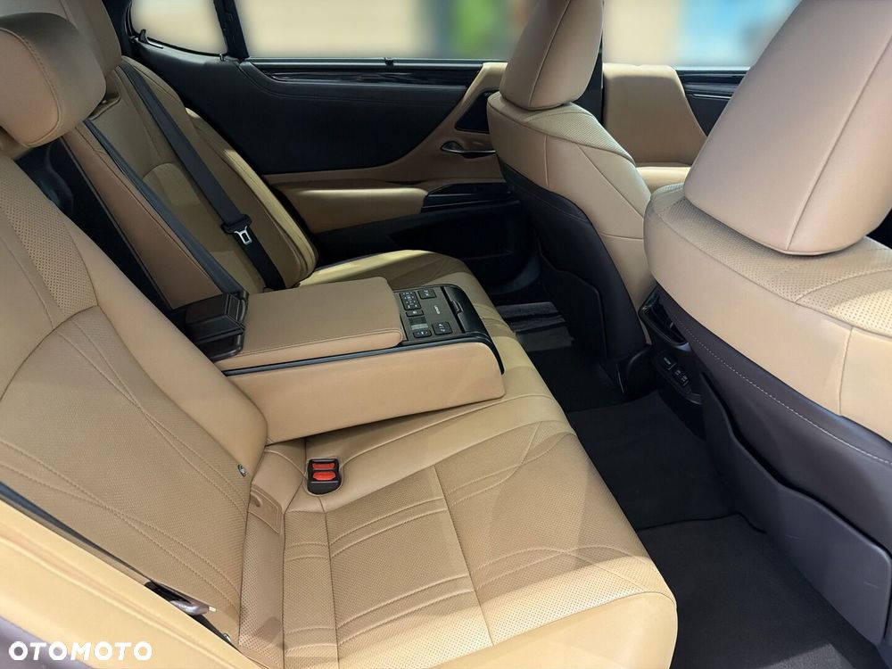 Lexus ES 300h Omotenashi - 11