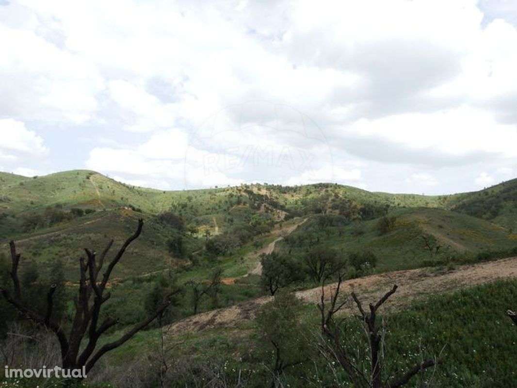 Moradia T0 para venda - Grande imagem: 2/10