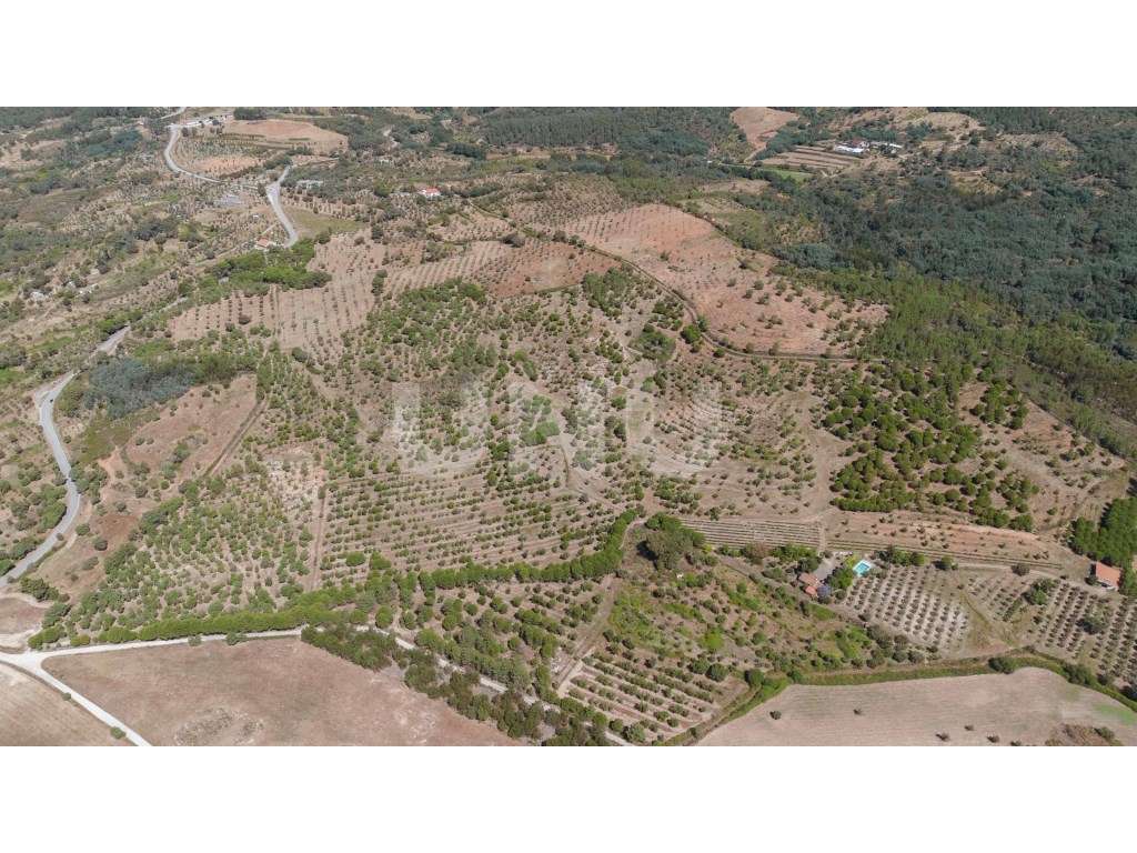 Herdade com 34 Hectares - Grande imagem: 4/39