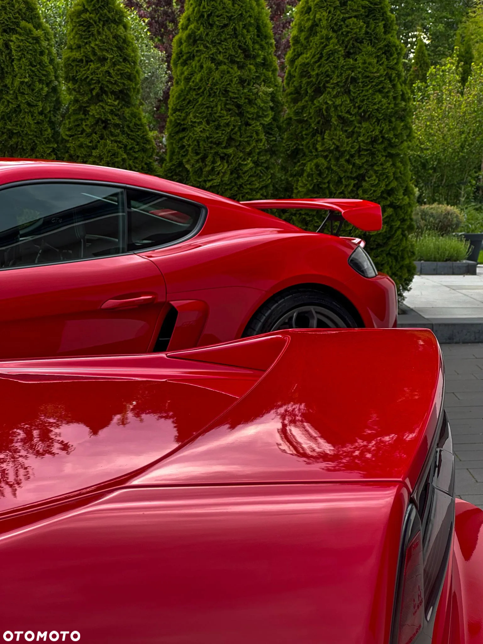 Porsche 718 Cayman GPF GT4 - 8