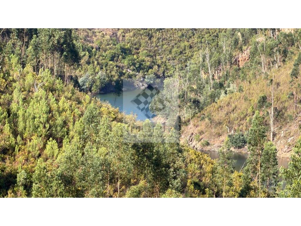 Fabuloso lote 5600m2 em Vila de Rei - Grande imagem: 3/25