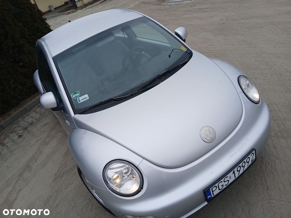 Volkswagen Beetle - 19