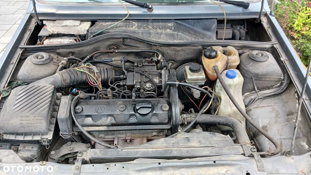 Volkswagen Polo - 5