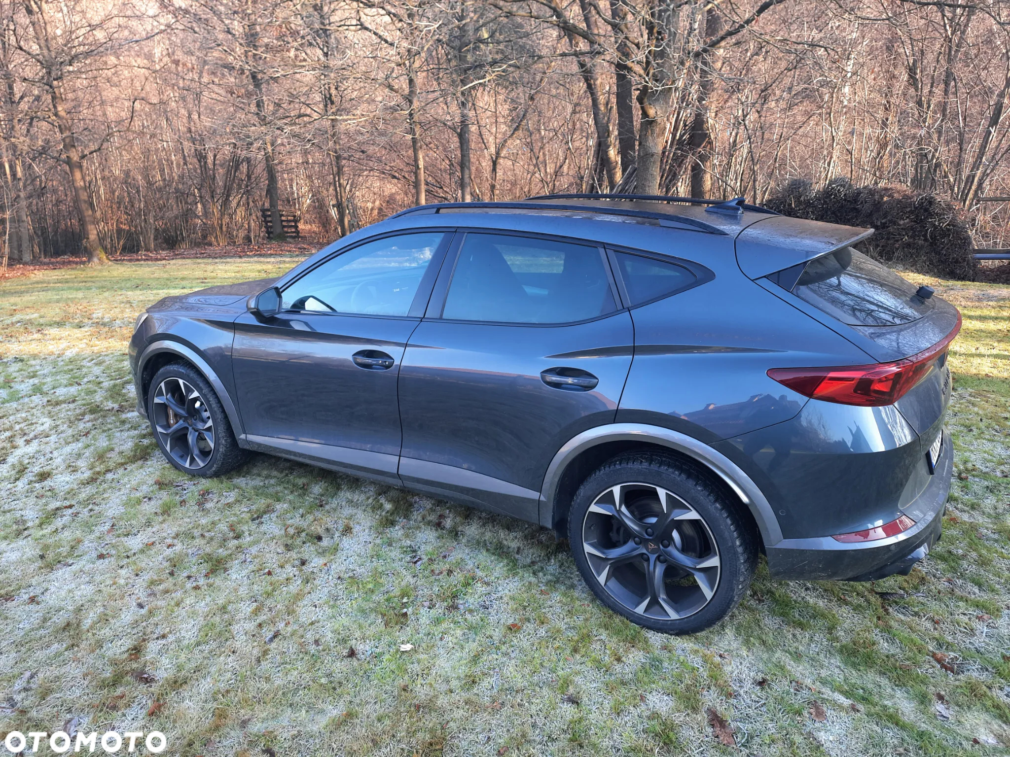 Cupra Formentor VZ 2.0 TSI 4Drive DSG - 12