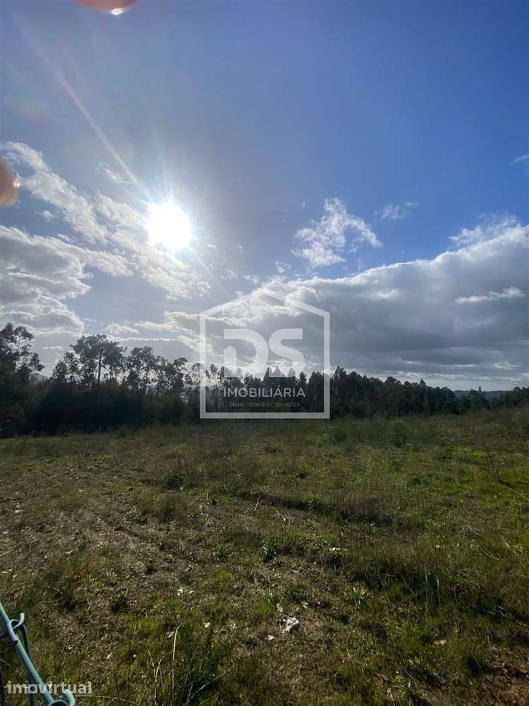 Terreno Rústico  Venda em Macieira da Lixa e Caramos,Felgueiras - Grande imagem: 2/15