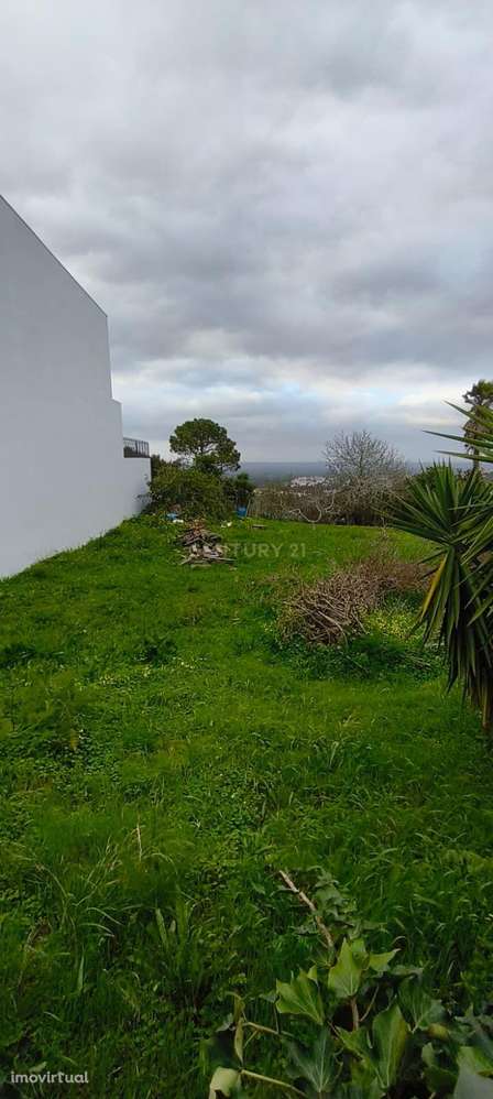 Terreno Urbano para construção de Moradia - Grande imagem: 3/6