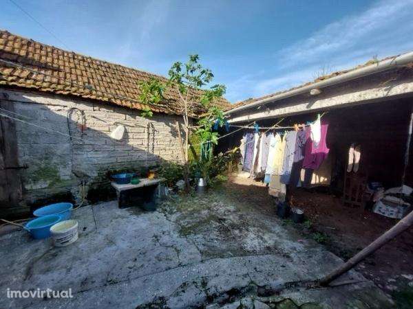 Moradia T2 em Ferreira-a-Nova, 1500m² - Grande imagem: 4/7