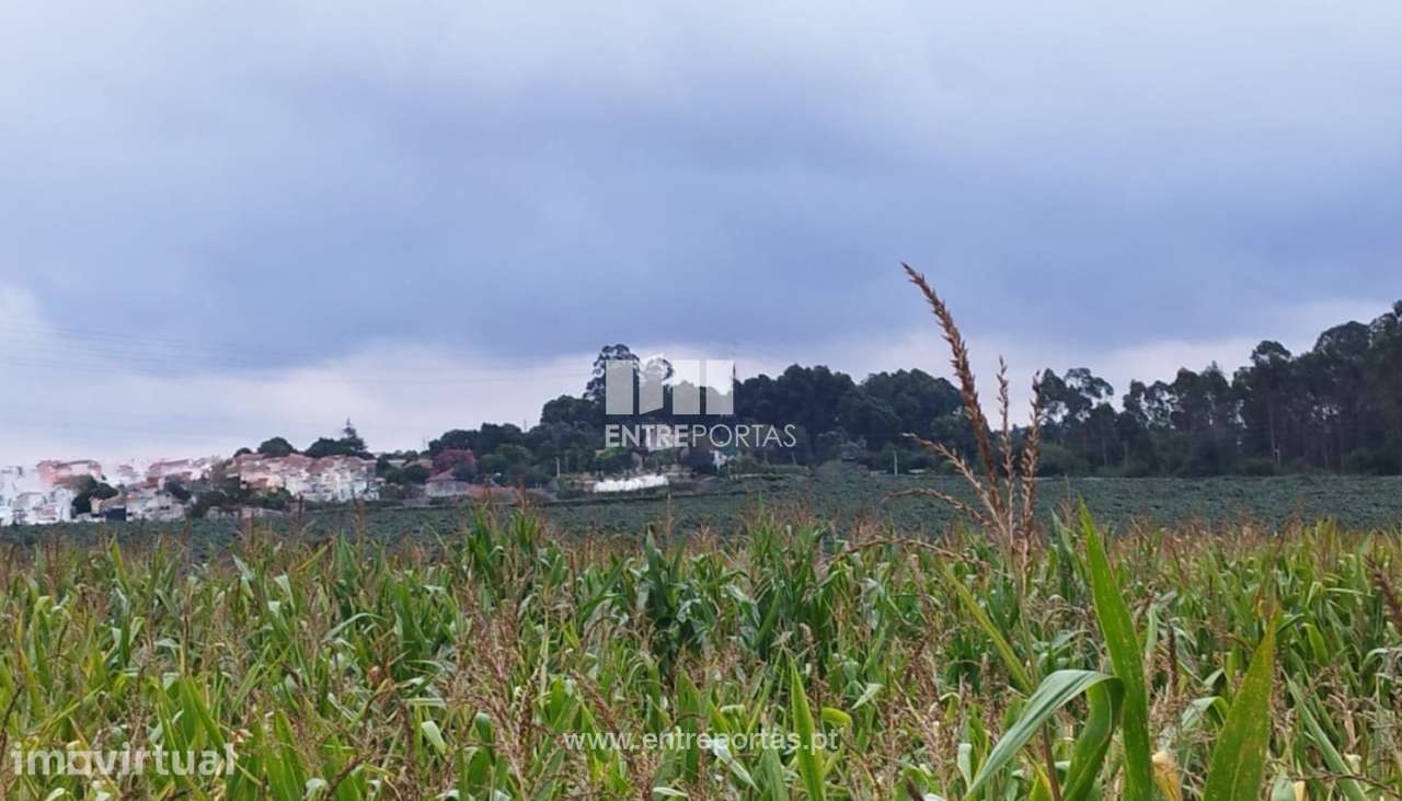 Venda de Terreno industrial com 14 490 m2, Guilhabreu, Vila do Conde - Grande imagem: 2/11