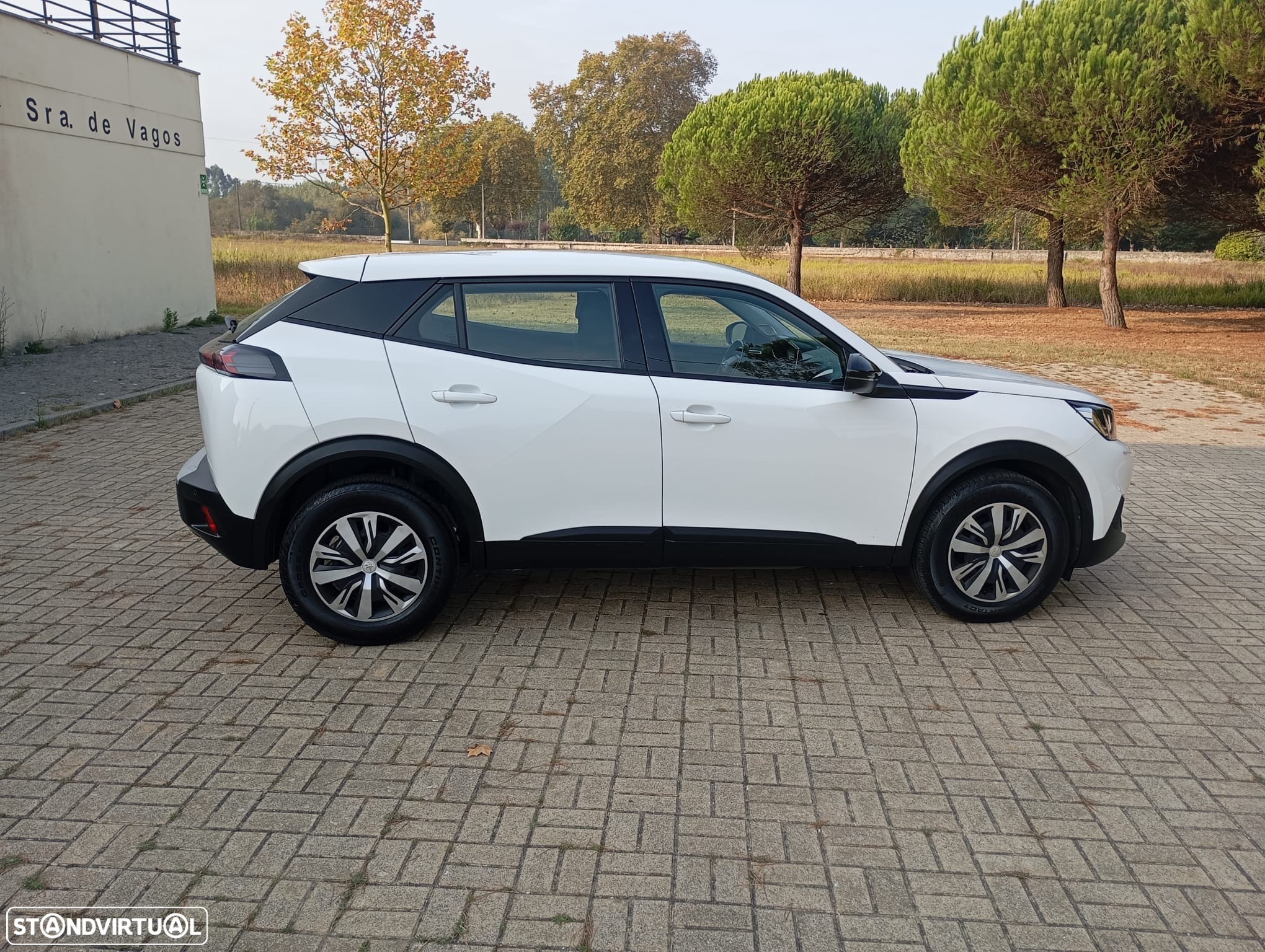 Peugeot 2008 BlueHDi 110 Active - 6