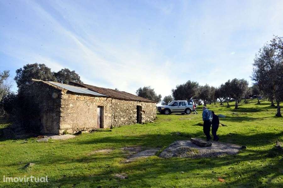 Herdade do Monte da Pedra. - Grande imagem: 2/29