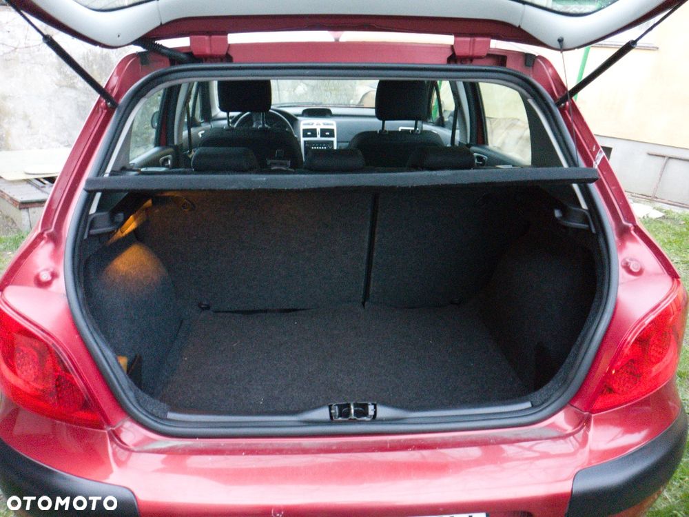 Peugeot 307 - 4