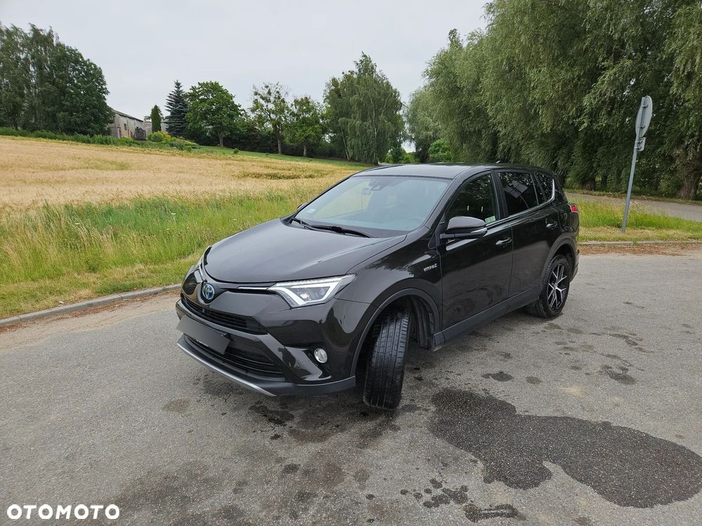 Toyota RAV4 Hybrid Prestige 4x2 - 2