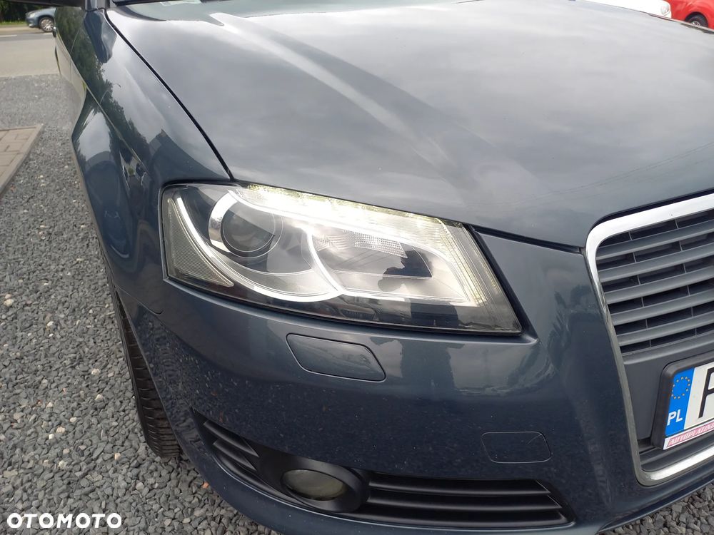 Audi A3 3-drzwiowe 1.9 TDI DPF Ambition - 12