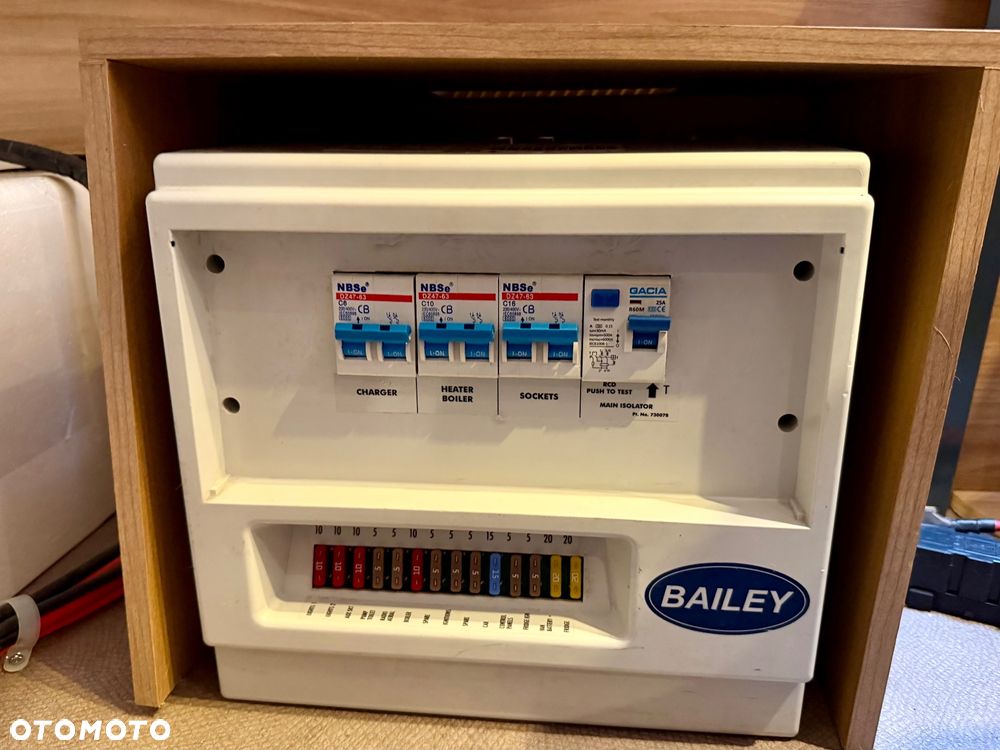 Bailey - 26