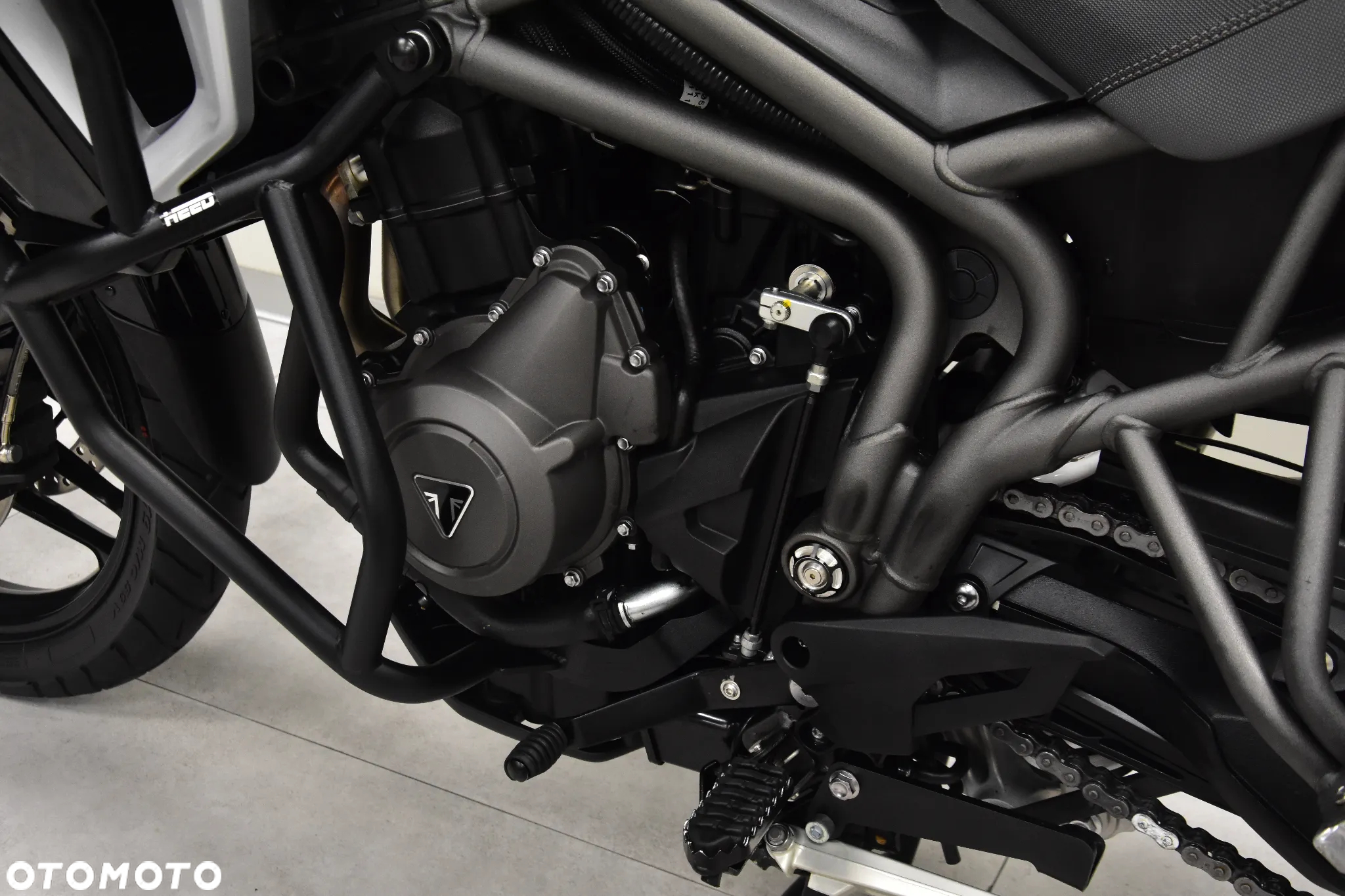 Triumph Tiger - 37