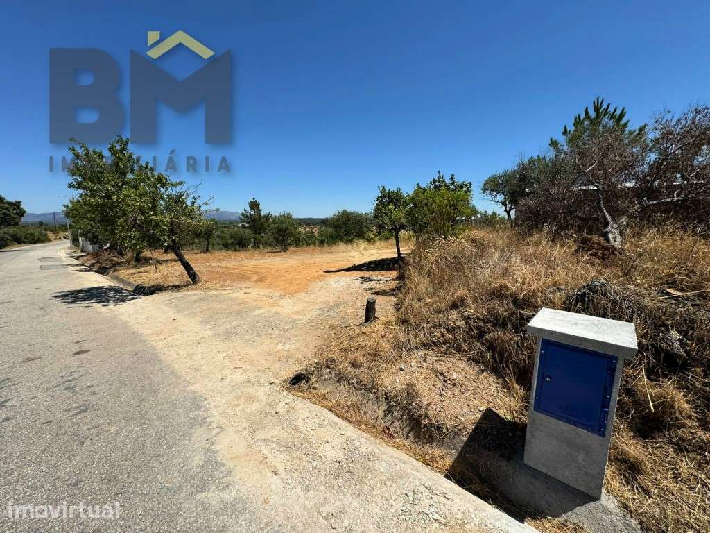 Terreno Rústico com 4.600 m² para venda em Juncal do Campo! - Grande imagem: 3/23