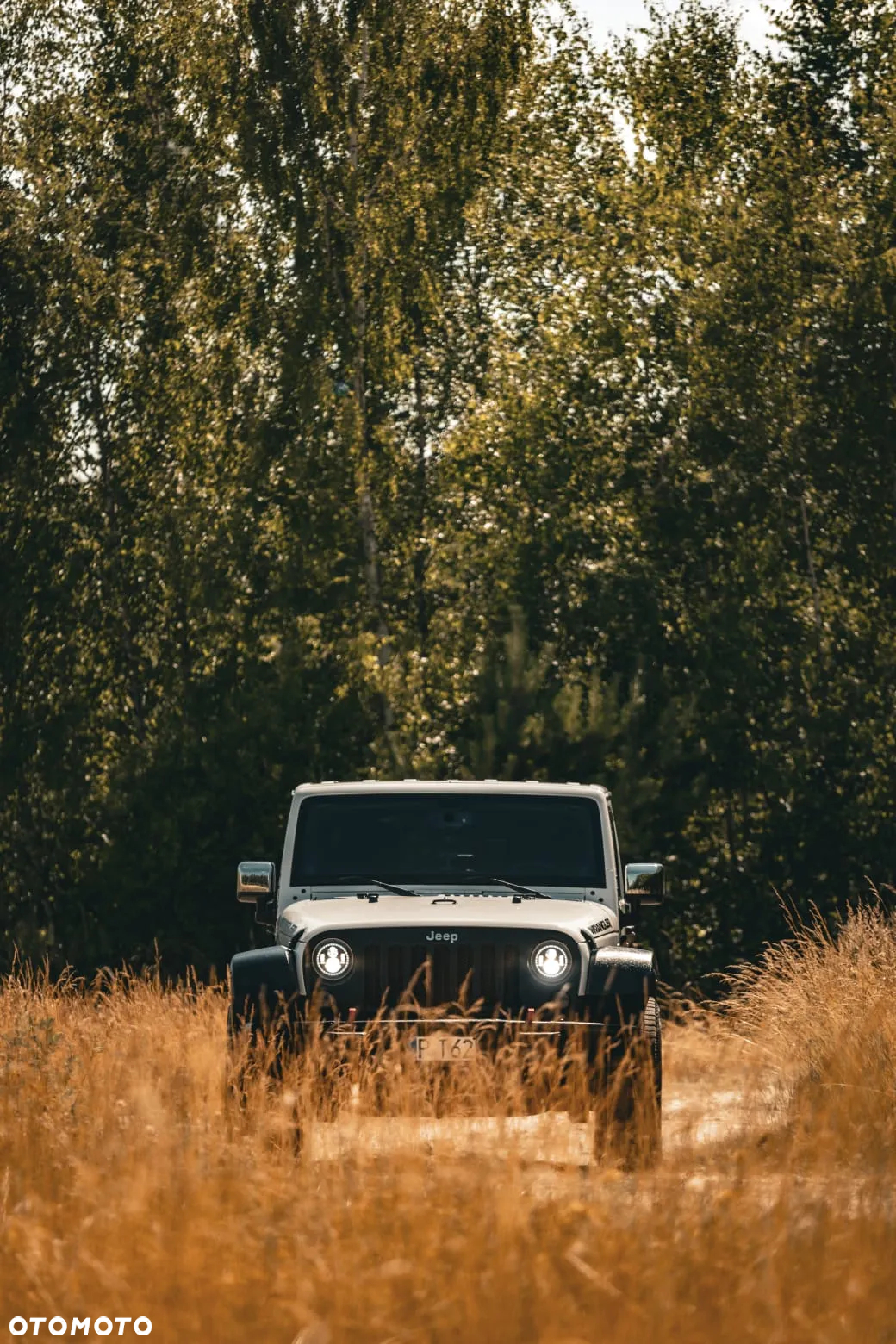 Jeep Wrangler 3.6 Unlim Sahara - 10