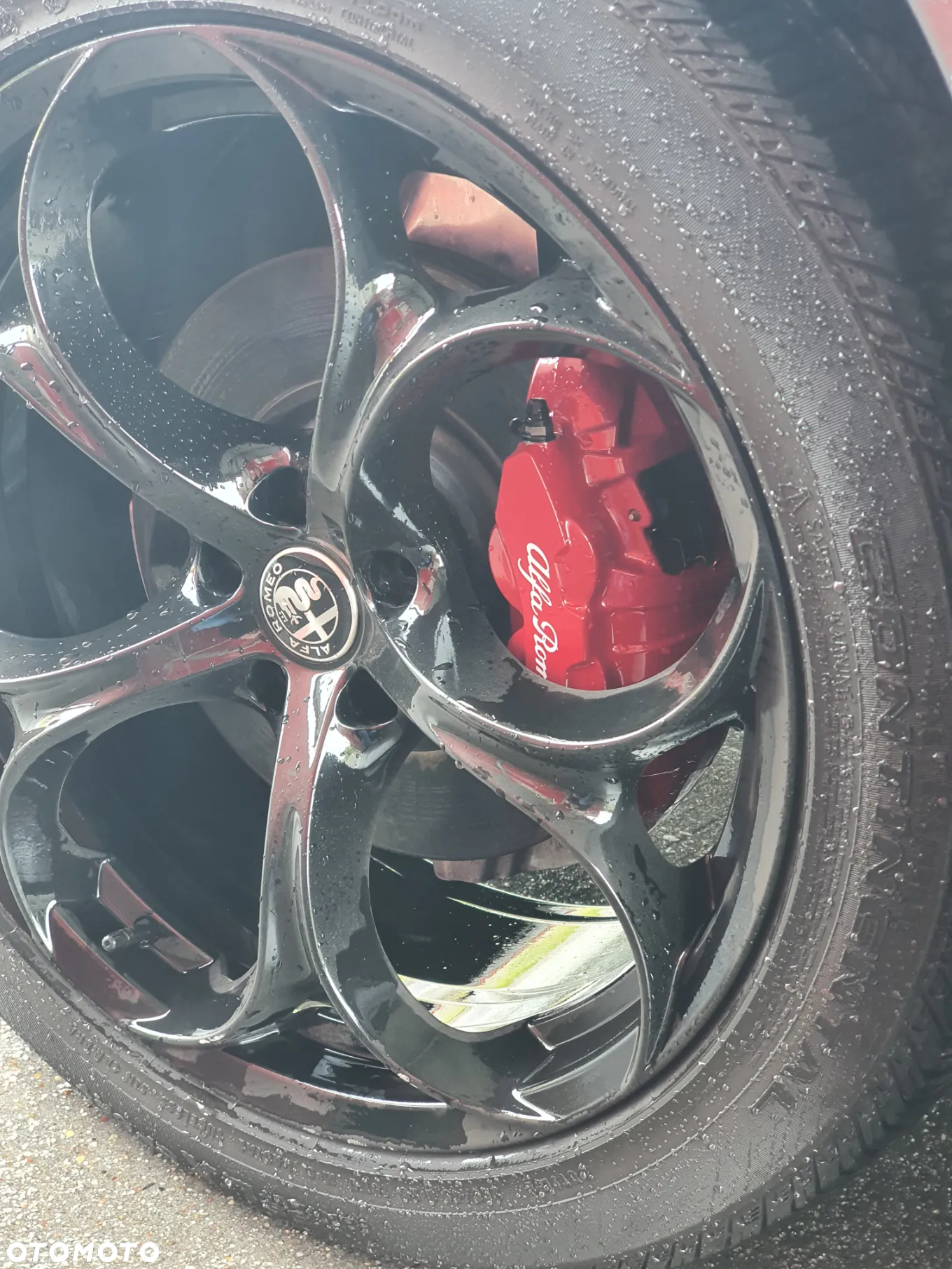 Alfa Romeo Stelvio 2.0 Turbo 16V AT8-Q4 Veloce - 30