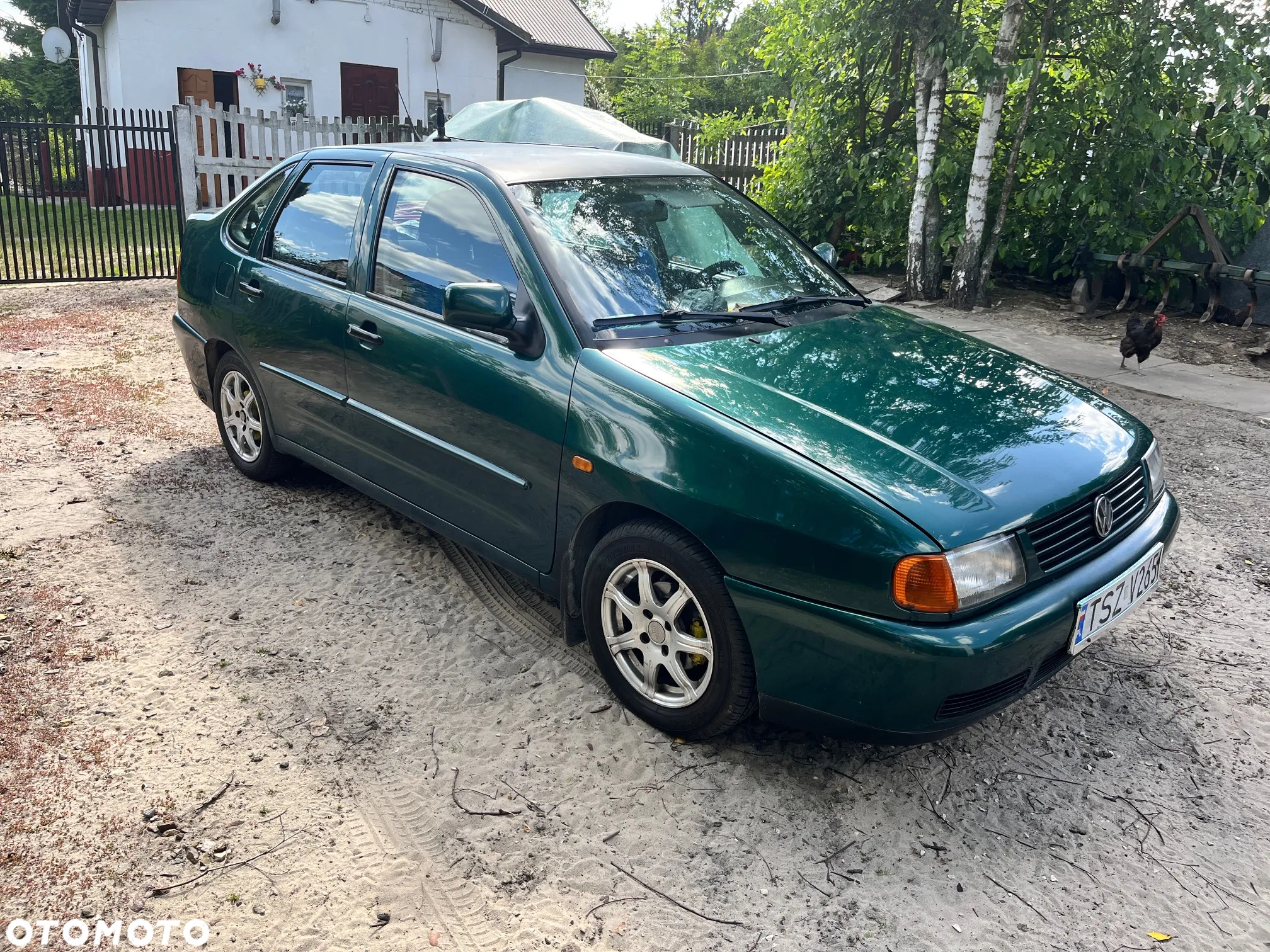 Volkswagen Polo Classic 60 - 3