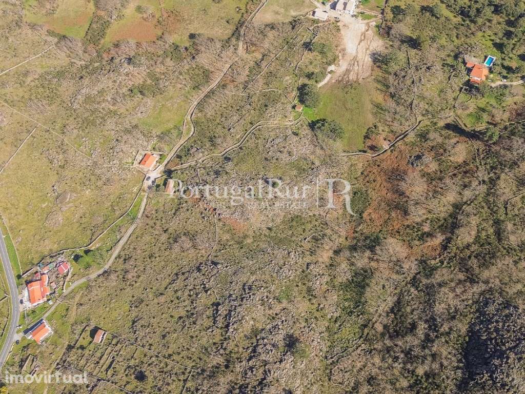 Quintinha com 3 ha e casa para reconstrução - Grande imagem: 3/58