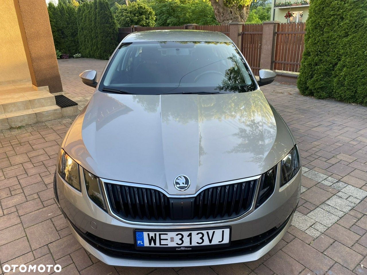 Skoda Octavia 1.5 TSI ACT Active - 5