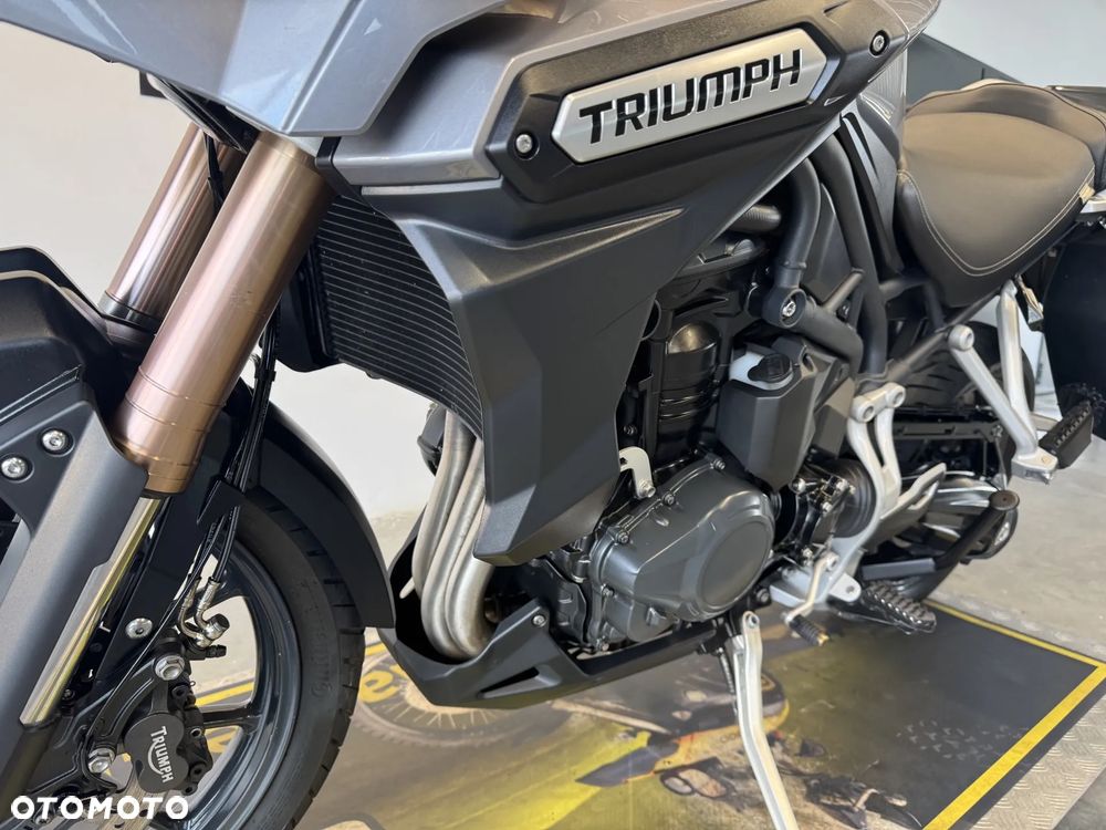 Triumph Tiger - 19