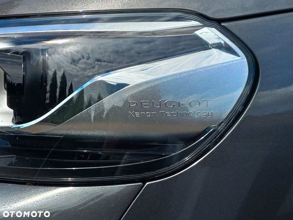 Peugeot Traveller - 6