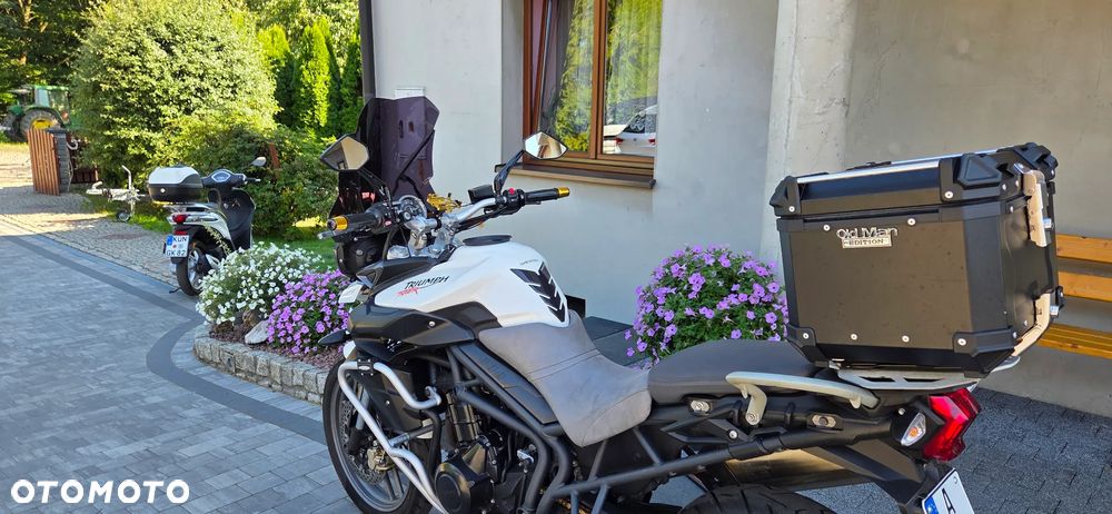 Triumph Tiger - 22