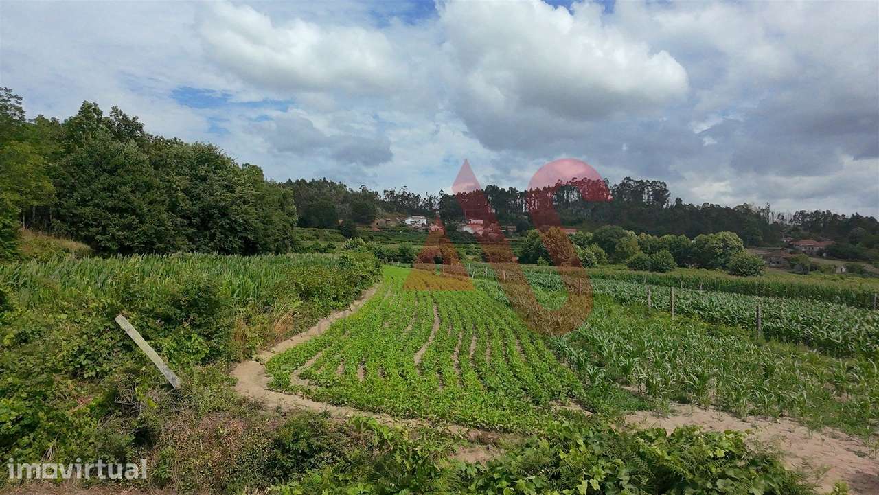 Terreno Agrícola com 2290m2 em Silvares, Lousada - Grande imagem: 3/10
