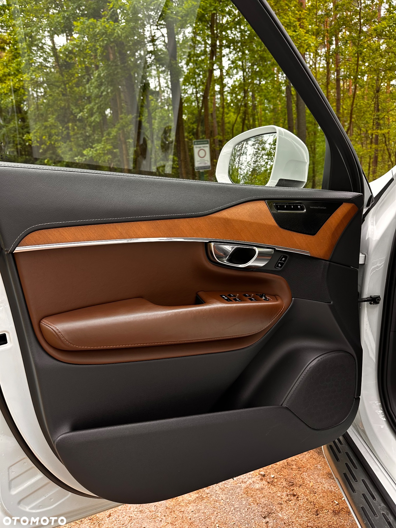 Volvo XC 90 D5 AWD Inscription - 14
